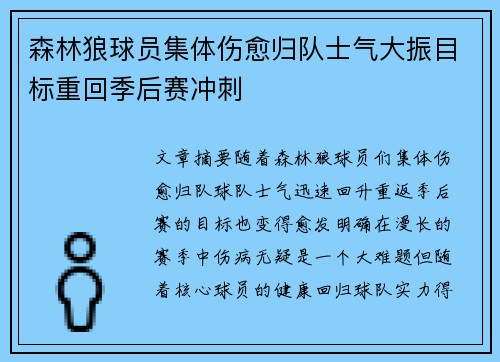 森林狼球员集体伤愈归队士气大振目标重回季后赛冲刺